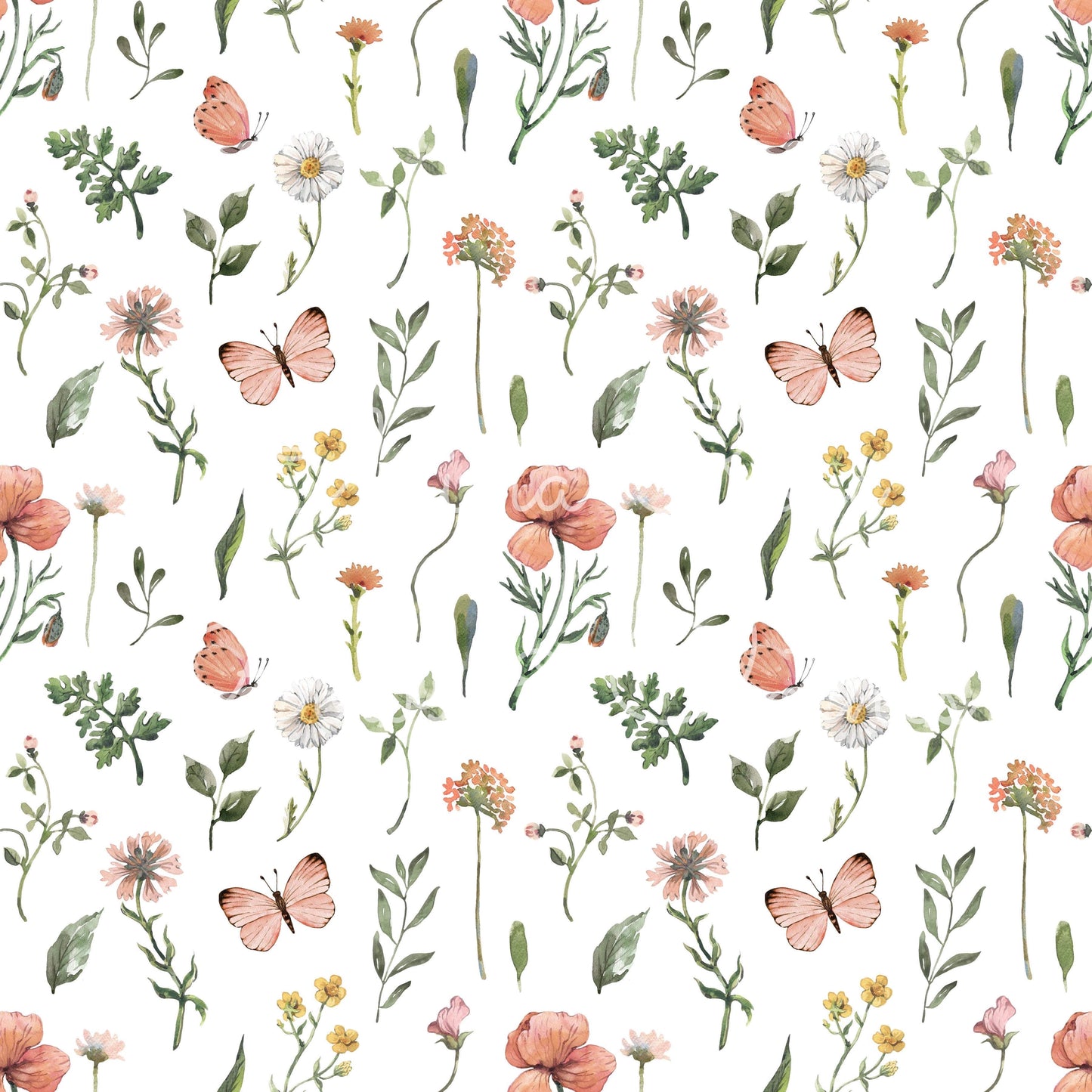 butterfly floral